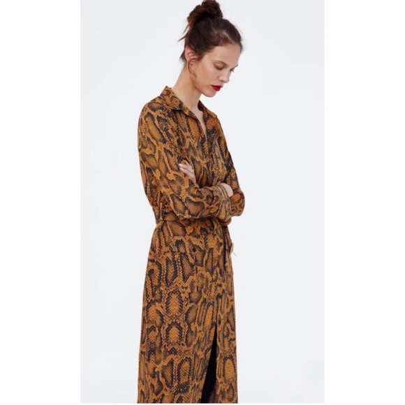 snake print tunic dress